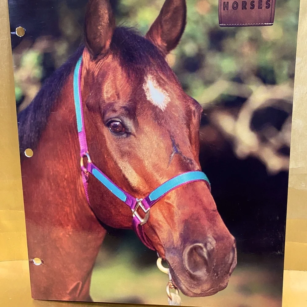 HORSES VINTAGE 90’s PORTFOLIO 3 RING BINDER FOLDERS BUNDLE OF 3 GREAT FOR SCHOOL
